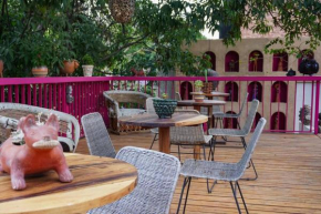 Casa Nawuales - Terraza - Guadalajara céntrico
